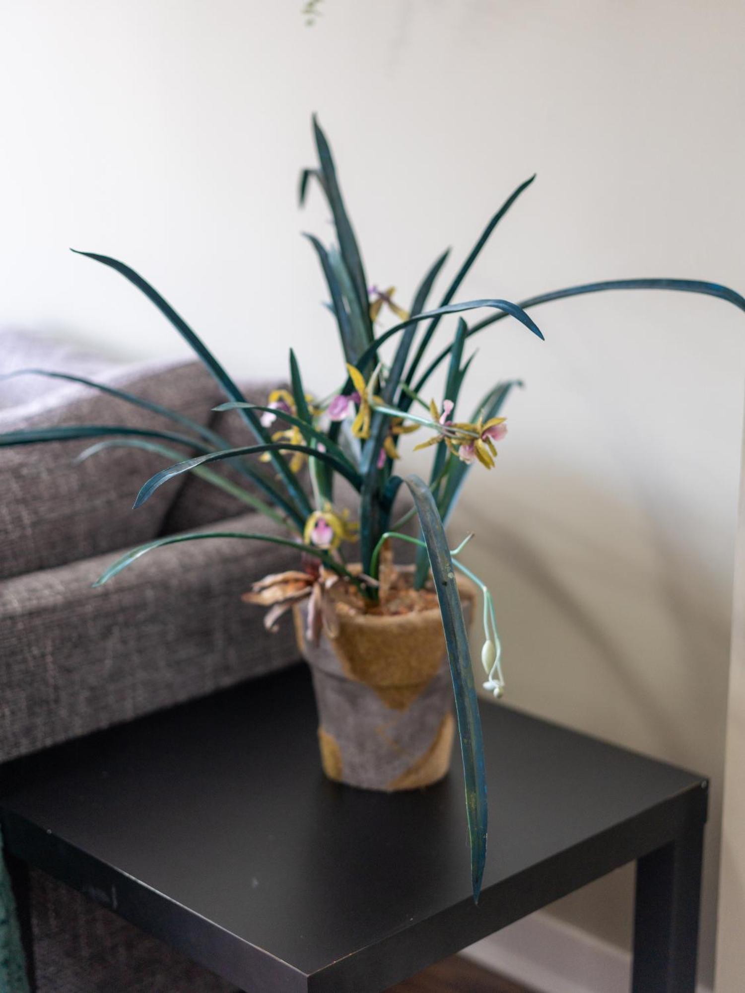 Movie House Executive Suite - Secure Free Parking Belfast Exteriér fotografie